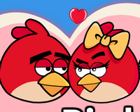 Angry Birds Aşkı