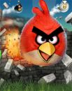 Angry Birds