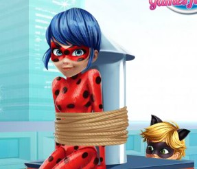 Catnoir ve Ladybug