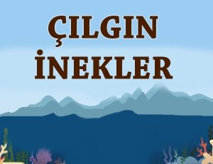 Çılgın İnekler