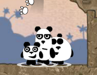 Kafadar Pandalar 2