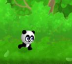 Koş Panda Koş