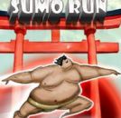 Sumo Koşusu