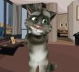 Talking Tom Oda Dekorasyonu