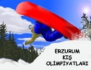 Erzurum Kış Olimpiyatları