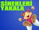 Sinekleri Yakala